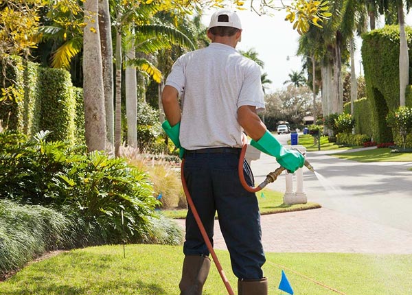 About West Olive MI Pest Control
